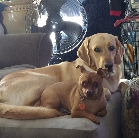 Meet your Posher, Cynthia - Picture 7 of 11